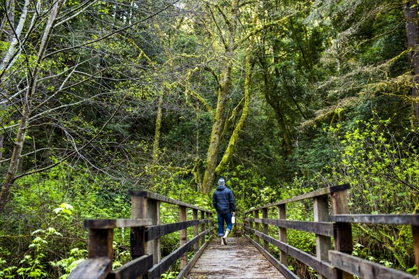 Caucasian hiker walking on wooden bridge in forest