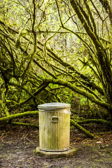 Garbage can in mossy forest