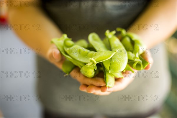 Caucasian woman holding fresh snap peas