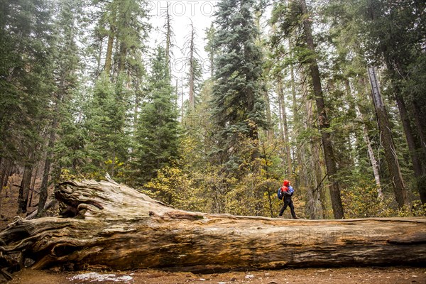 Caucasian girl walking in Yosemite National Park