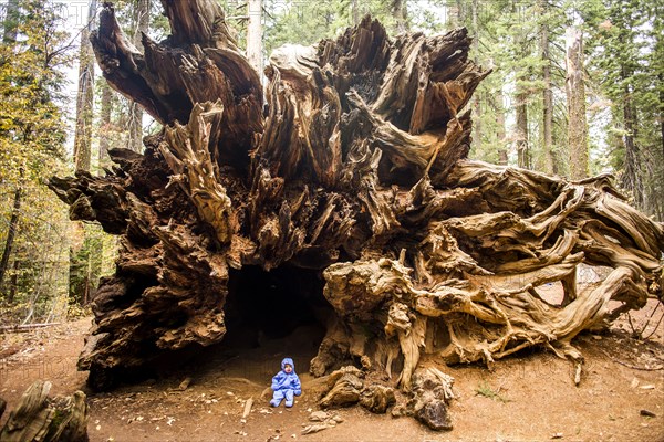 Caucasian girl sitting under ancient tree