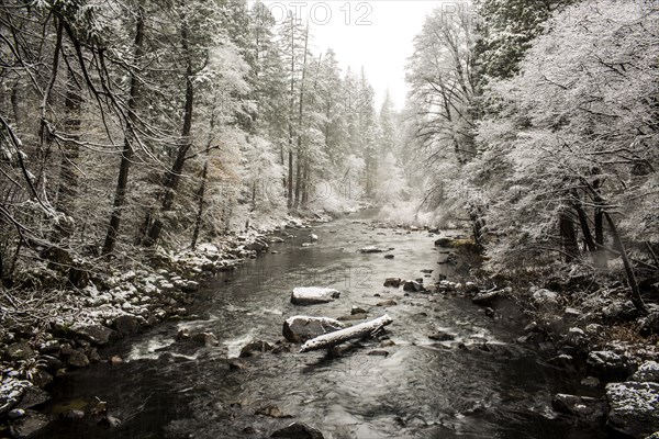 Stream flowing in snowy forest