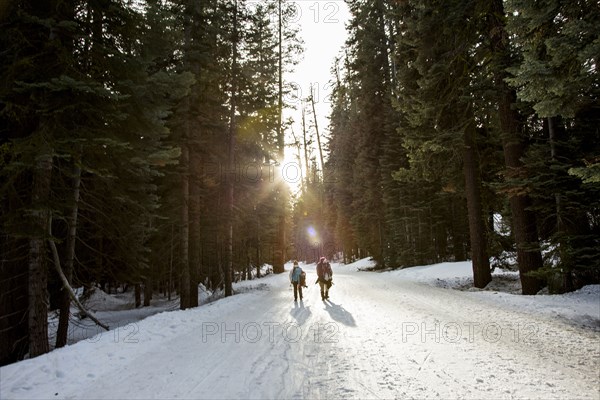 Hikers walking in snowy forest