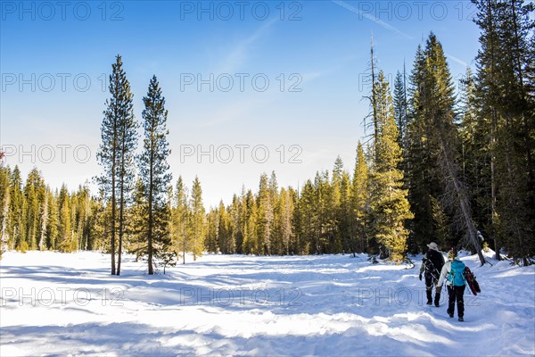 Hikers walking in snowy forest