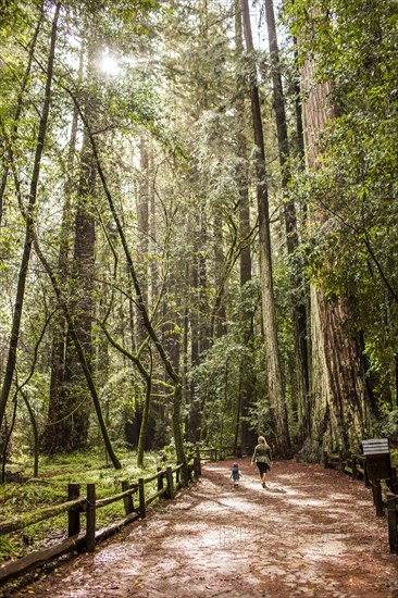 Caucasian mother and daughter hiking in forest