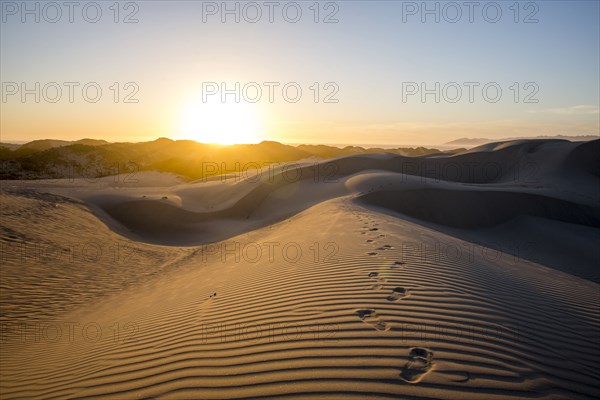 Footprints in desert sand dunes