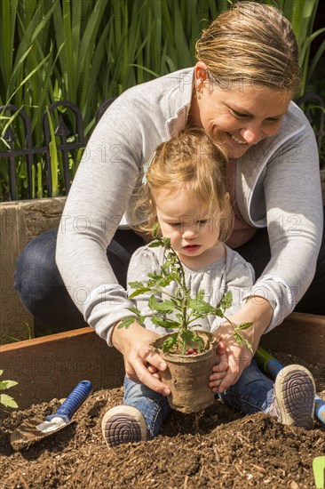 Caucasian mother and daughter planting seedling in garden