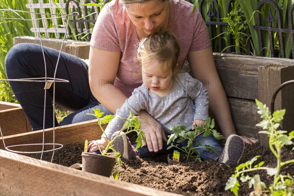 Caucasian mother and daughter planting seedling in garden