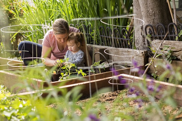 Caucasian mother and daughter planting seedling in garden