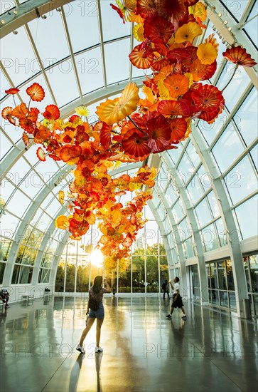 People looking at floral glass sculptures hanging from ceiling