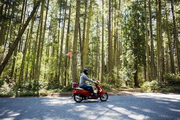 Person riding scooter on road near forest