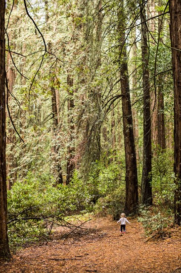 Distant Caucasian girl walking on forest path