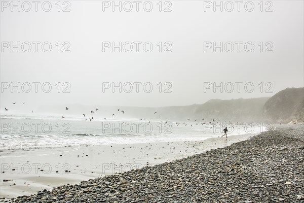 Distant Caucasian man running on ocean beach near birds