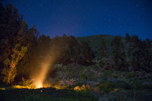 Campfire at night under starry sky