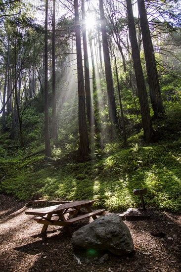 Sunbeams on picnic table in park