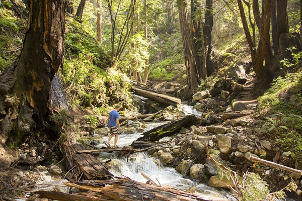 Caucasian man walking on wooden plank over forest stream