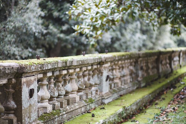 Mossy pillar wall by park trees