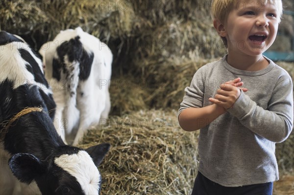 Caucasian boy laughing on haystacks near cows