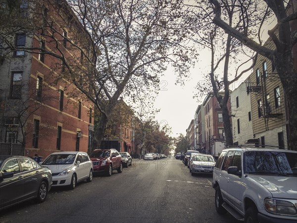 Cars parked in city street