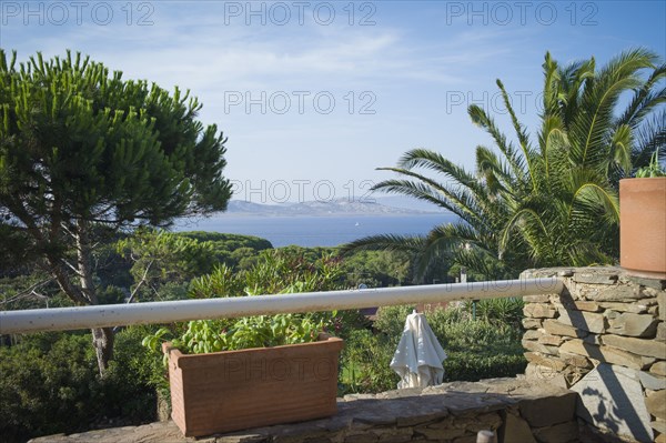 Balcony overlooking treetops and ocean