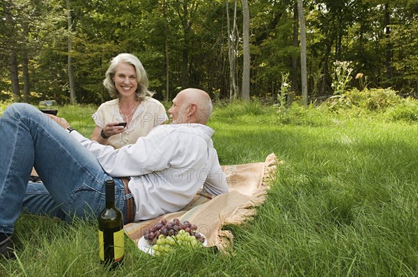 Older couple relaxing at picnic in park