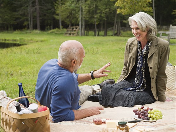 Older couple relaxing at picnic in park