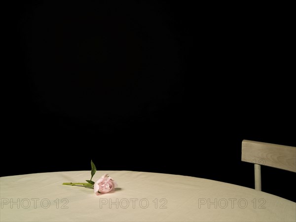 Rose on empty table