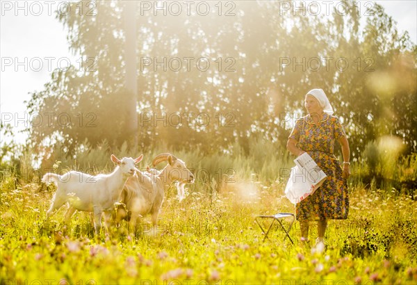 Caucasian woman tending goats in field