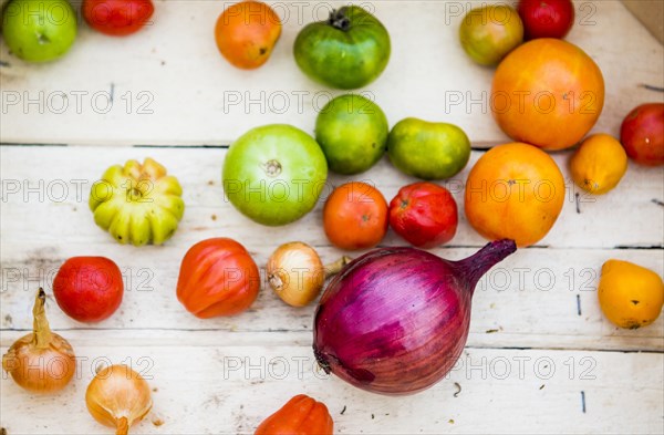 Close up of variety of produce