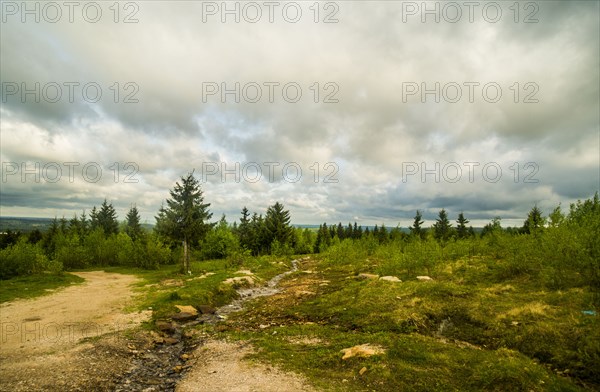 Creek flowing in rural meadow