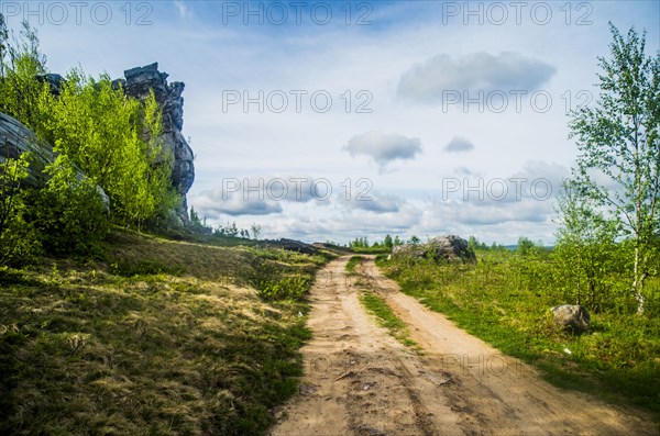 Dirt path in rural meadow