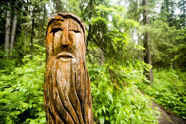 Close up of carved totem pole near forest path