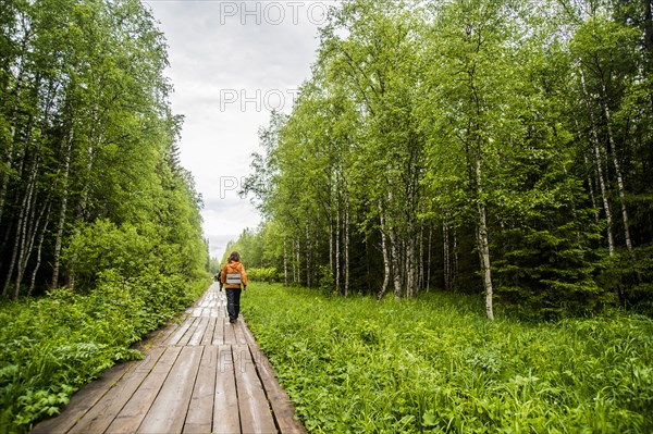 Caucasian hiker on wooden walkway in forest