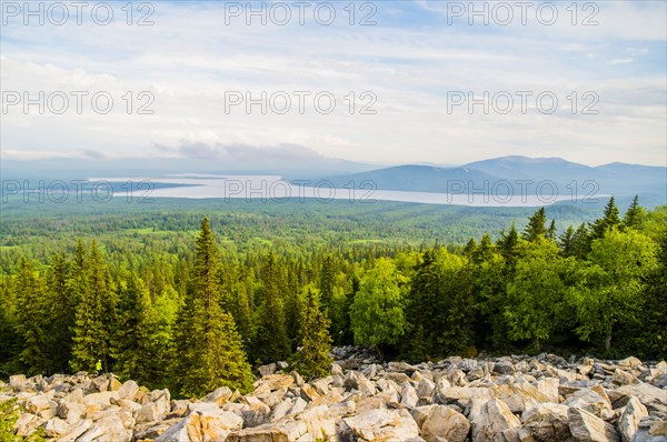 Rocky hillside and forest in remote landscape