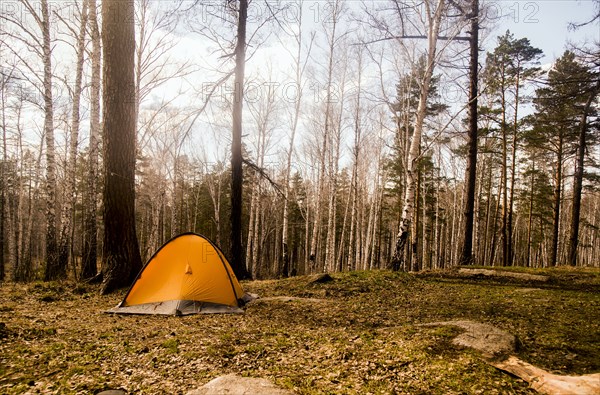 Tent at campsite in rural forest