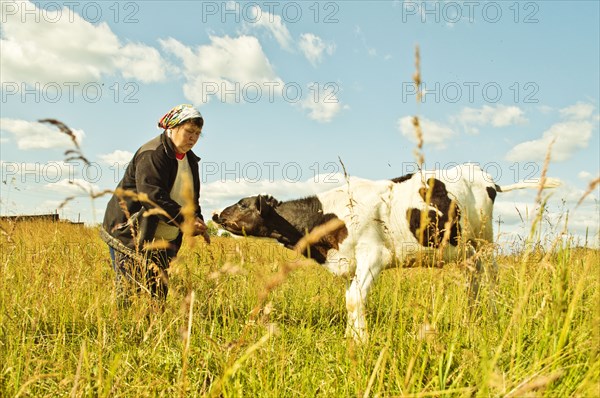 Caucasian farmer feeding cow in rural field