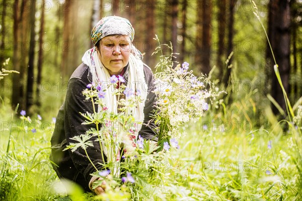 Caucasian woman gathering wildflowers in forest