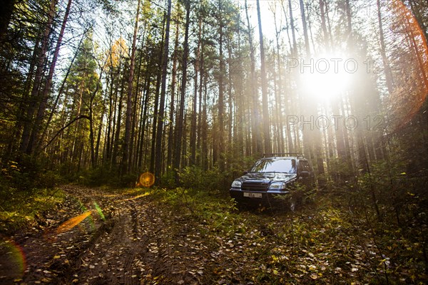 Sports utility vehicle in remote forest