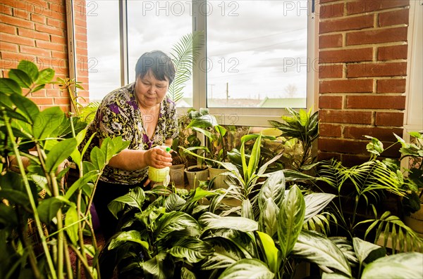 Caucasian woman watering indoor plants