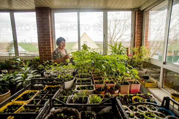 Caucasian woman watering indoor plants