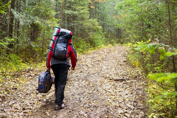 Caucasian hiker carrying guitar on forest path