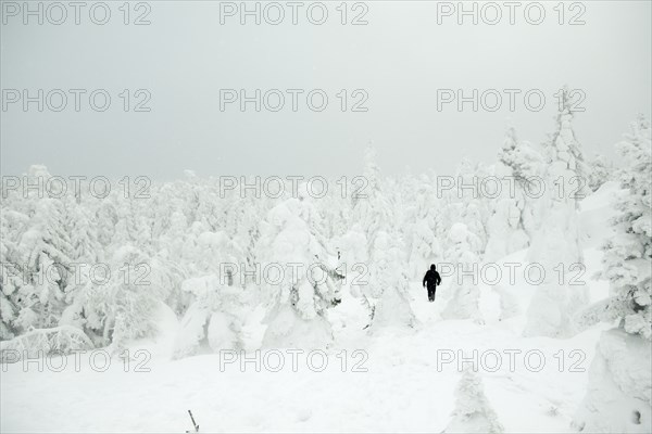 Caucasian hiker walking in snowy forest