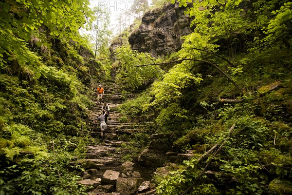 Hiker climbing rocks in forest