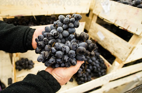 Caucasian woman shopping in grocery store