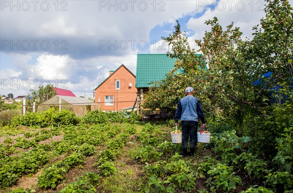 Caucasian farmer working in garden