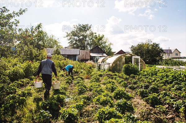 Caucasian farmers working in garden