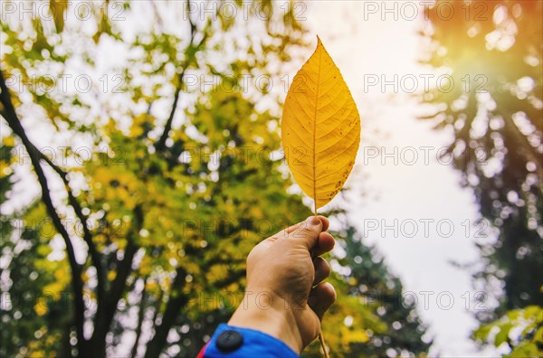 Low angle view of hand holding autumn leaf
