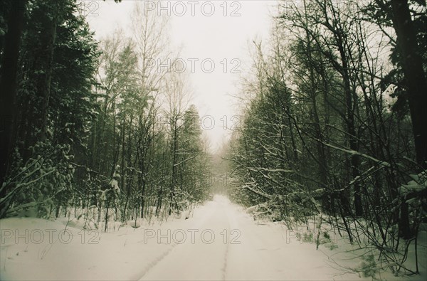 Path in snowy remote forest