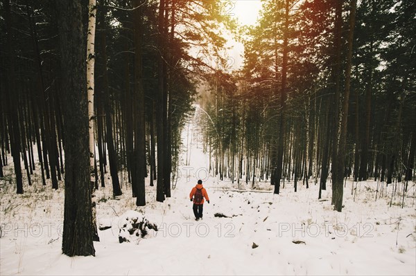 Hiker walking in snowy forest