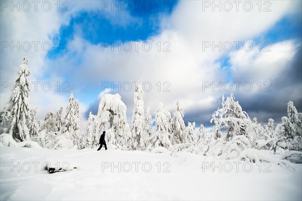 Hiker walking in snowy forest